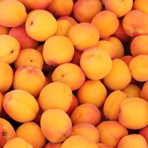 [ACTUS] Des abricots en direct des Baronnies