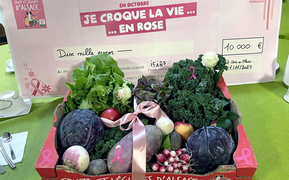 10.000 € ont été remis à l'Icans Strasbourg Europe grâce à la première opération Je croque la vie en Rose 