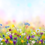 [ACTUS] Un printemps fermier pour Pâques