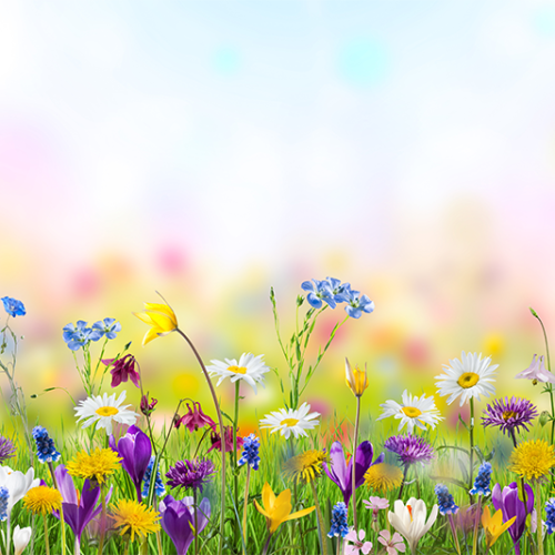 [ACTUS] Un printemps fermier pour Pâques