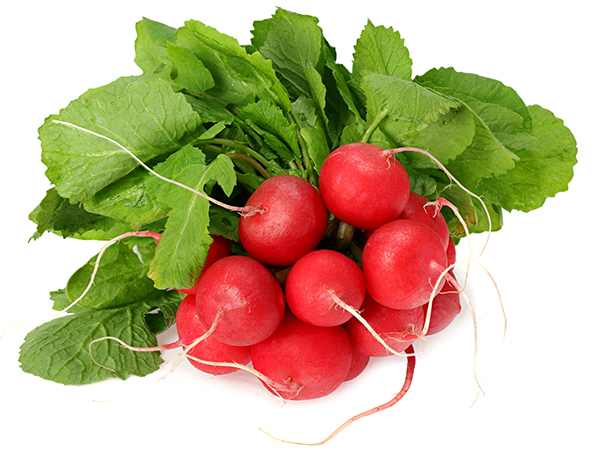 Les fanes de radis sont riches en fibres, en fer, en vitamines C et B, ainsi qu’en caroténoïdes, un super antioxydant. Autant les manger! Pour 4 personnes Velouté de fanes...