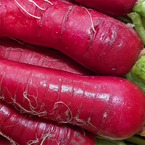 [RECETTE] Salade de radis