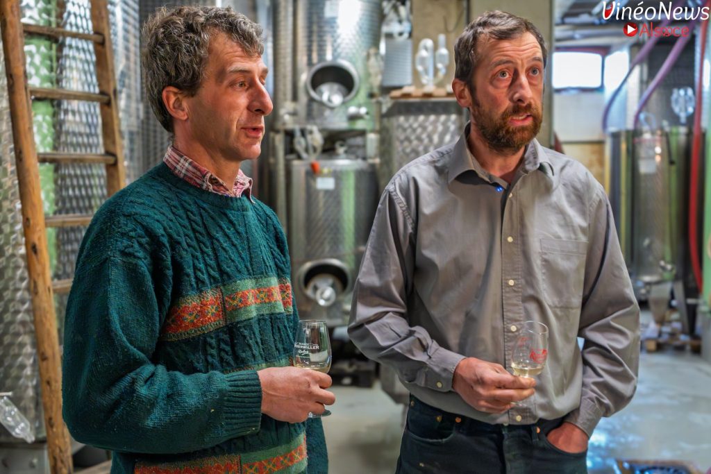 Vinéo News Alsace consacre un article à Guy et Pascal Ruhlmann, et leur domaine à Scherwiller. Mettant en exergue de belles valeurs. 